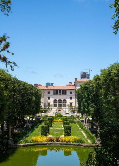 Untitled design (50)